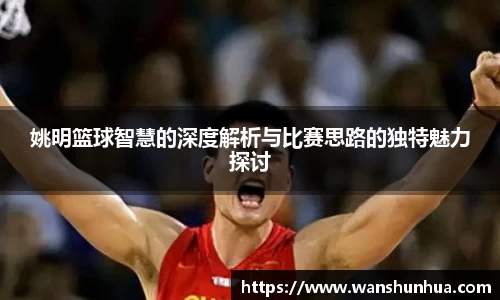 姚明篮球智慧的深度解析与比赛思路的独特魅力探讨